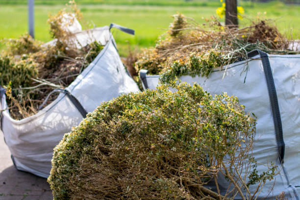 Best Retail Junk Removal  in Grain Valley, MO
